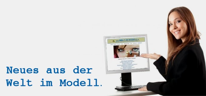 Frau vor PC-Bildschirm mit welt-im-modell-Seite