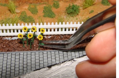 'Einpflanzen' der Sonnenblumen mittels einer Pinzette